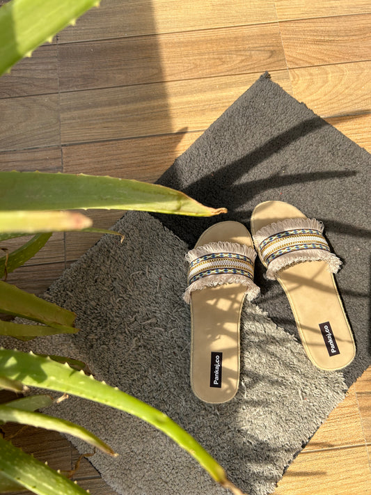 Beach Slides