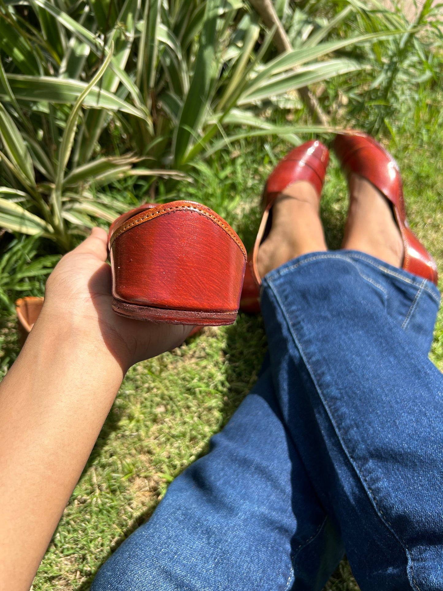 Tan Jutti