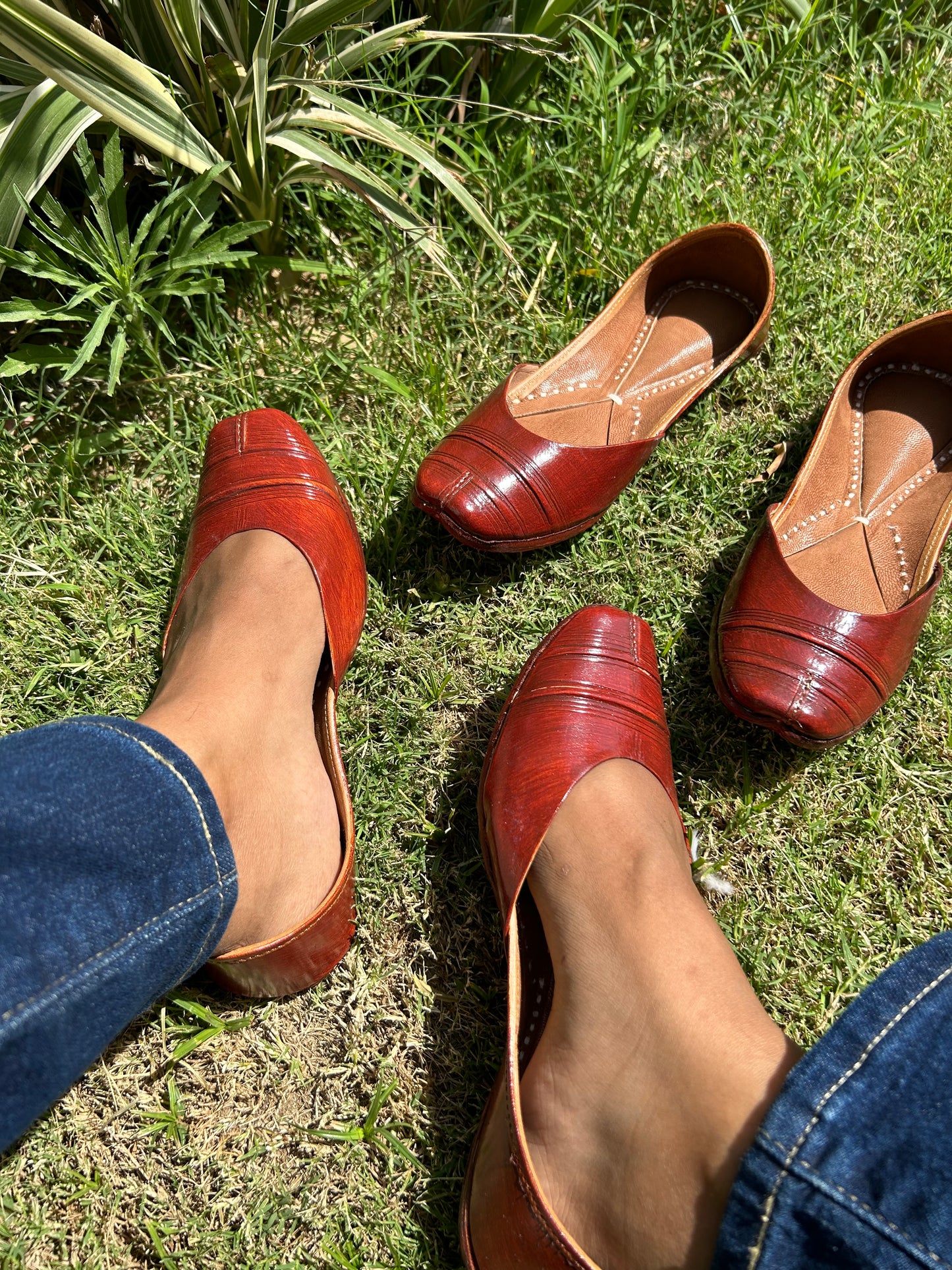 Tan Jutti